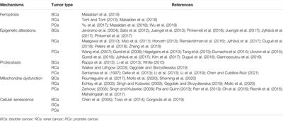 The Potential Role of Mitochondrial Acetaldehyde Dehydrogenase 2 in Urological Cancers From the Perspective of Ferroptosis and Cellular Senescence